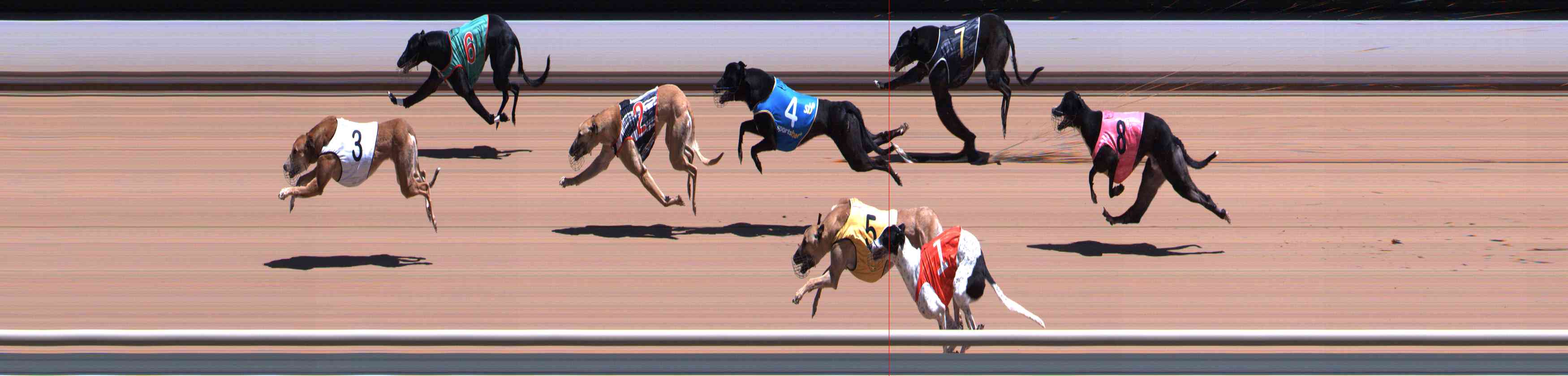 Race result finish photo